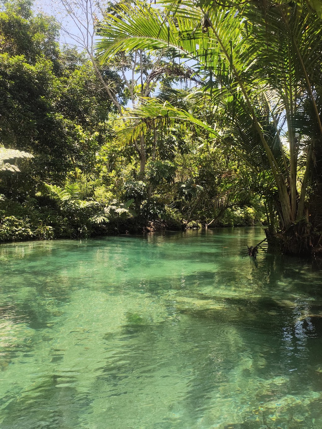 Jelajahi Keindahan Kali Biru 2 di Papua