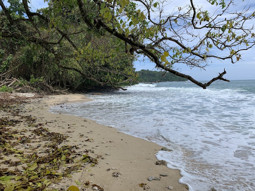 Pesona Pantai Wisata Sasie, Papua Barat: Surga Tersembunyi di Manokwari