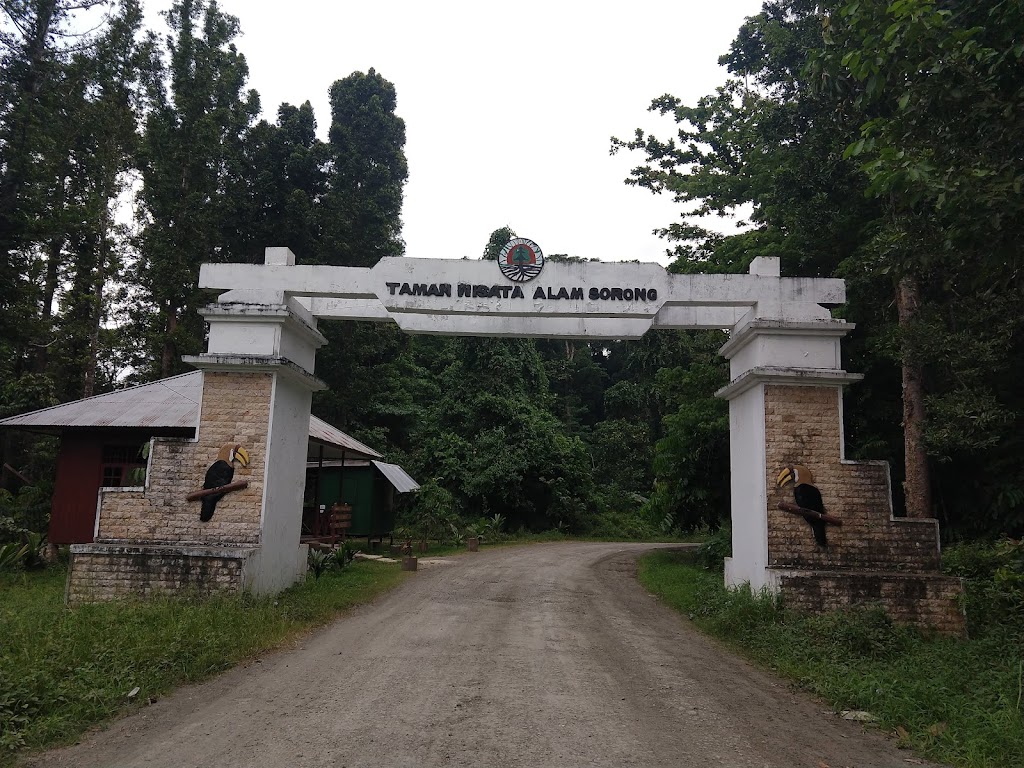 Jelajahi Taman Wisata Alam Sorong: Surga Tersembunyi di Papua Barat