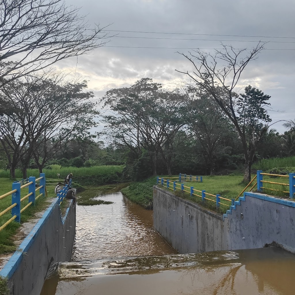 Jembatan Karamba, Punggulahi: Pesona Tersembunyi di Konawe Selatan
