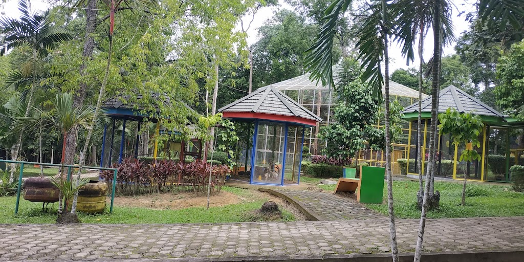 Menikmati Kesegaran Hutan Kota Muhammad Sabki Jambi Menikmati Kesegaran Hutan Kota Muhammad Sabki Jambi