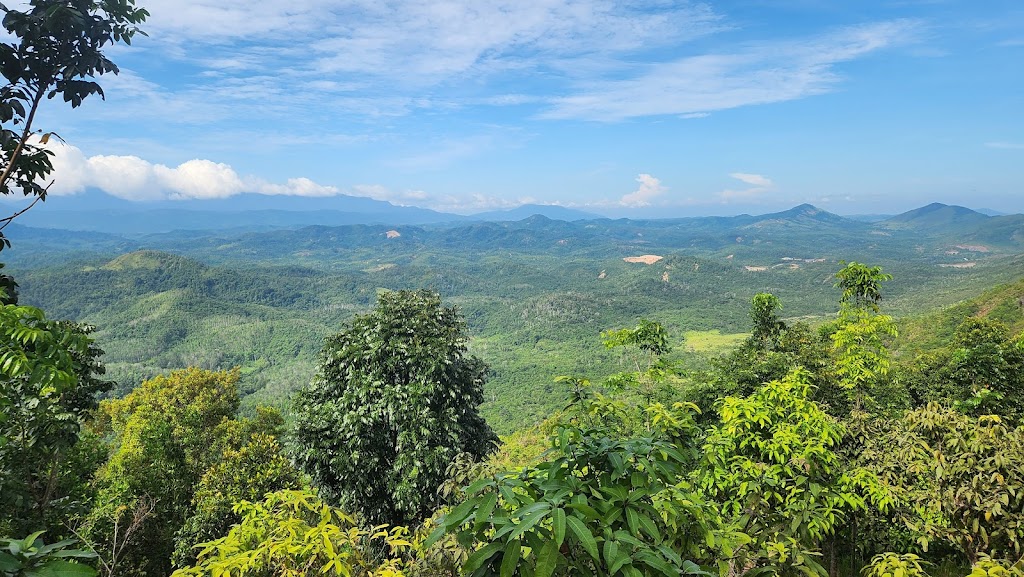 Puncak Tengger Tahura Sultan Adam: Petualangan di Hutan Kalimantan Selatan