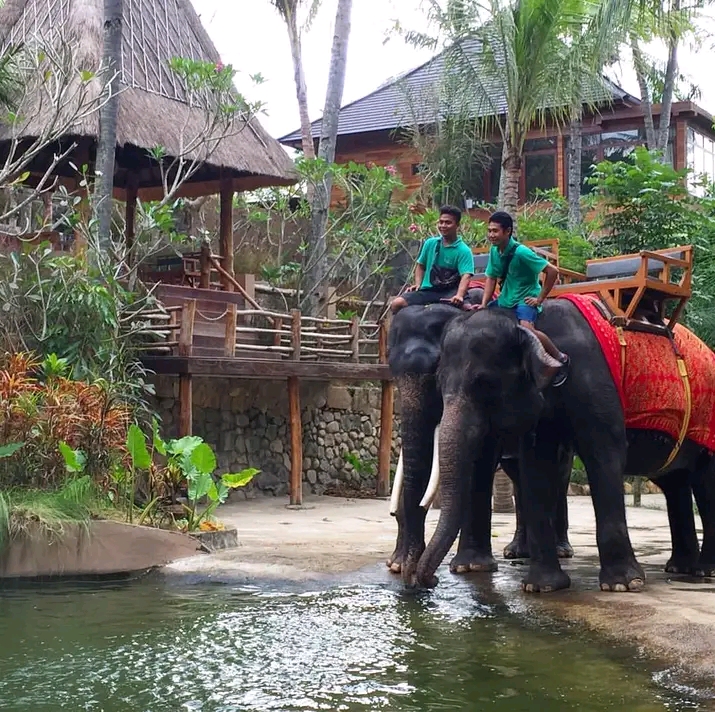 Lombok Wildlife Park: Petualangan Satwa Liar di Pulau Lombok