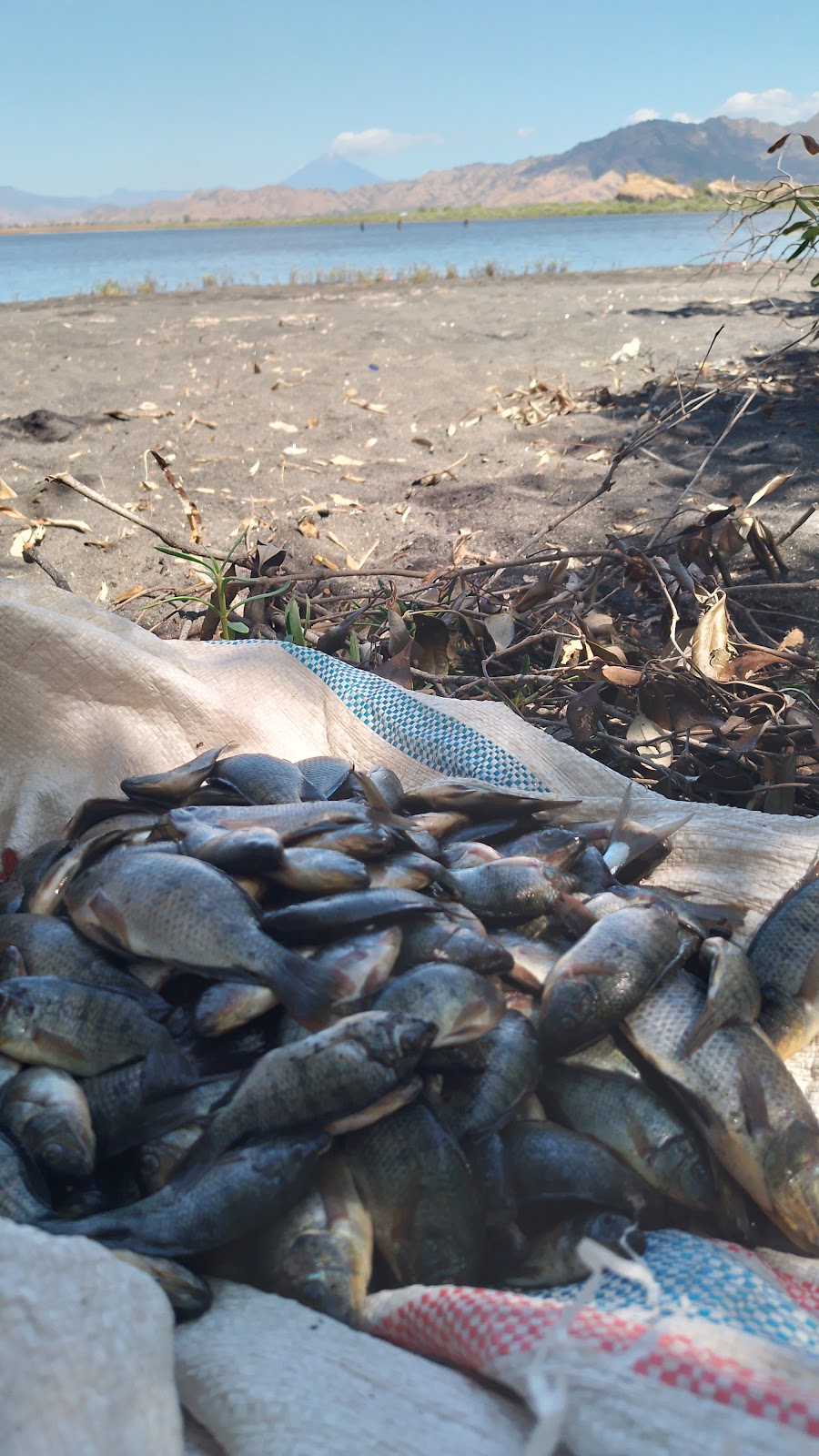 Mbay Raya: Pesona Tersembunyi di Kabupaten Nagekeo, Nusa Tenggara Timur Mbay Raya: Pesona Tersembunyi di Kabupaten Nagekeo, Nusa Tenggara Timur