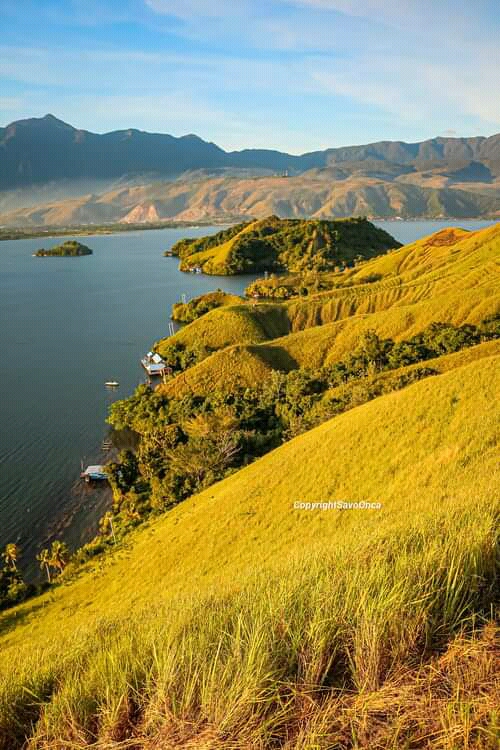 Bukit Hawe: Pesona Alam Tersembunyi di Sentani, Papua