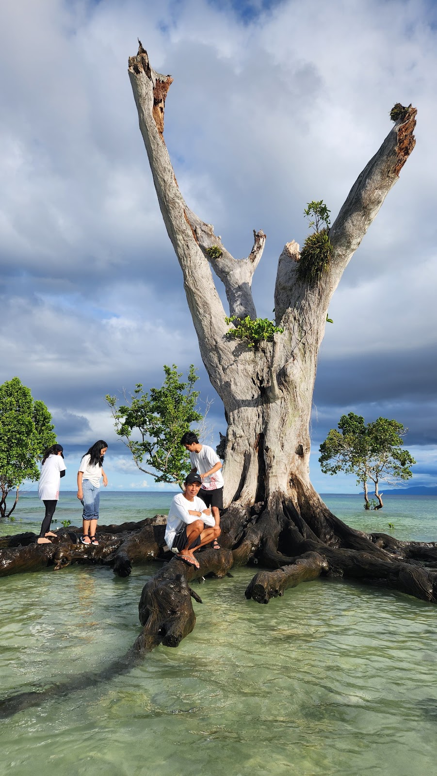 Jelajahi Pulau Raimuti, Surga Tersembunyi di Papua Barat