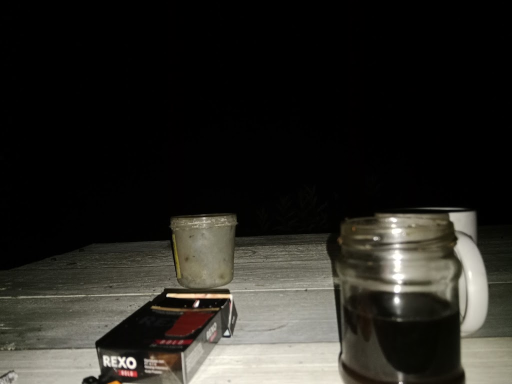 Jelajah Kais Darat Papua Barat Daya: Pesona Alam Tersembunyi di Teluk Bintuni Jelajah Kais Darat Papua Barat Daya: Pesona Alam Tersembunyi di Teluk Bintuni