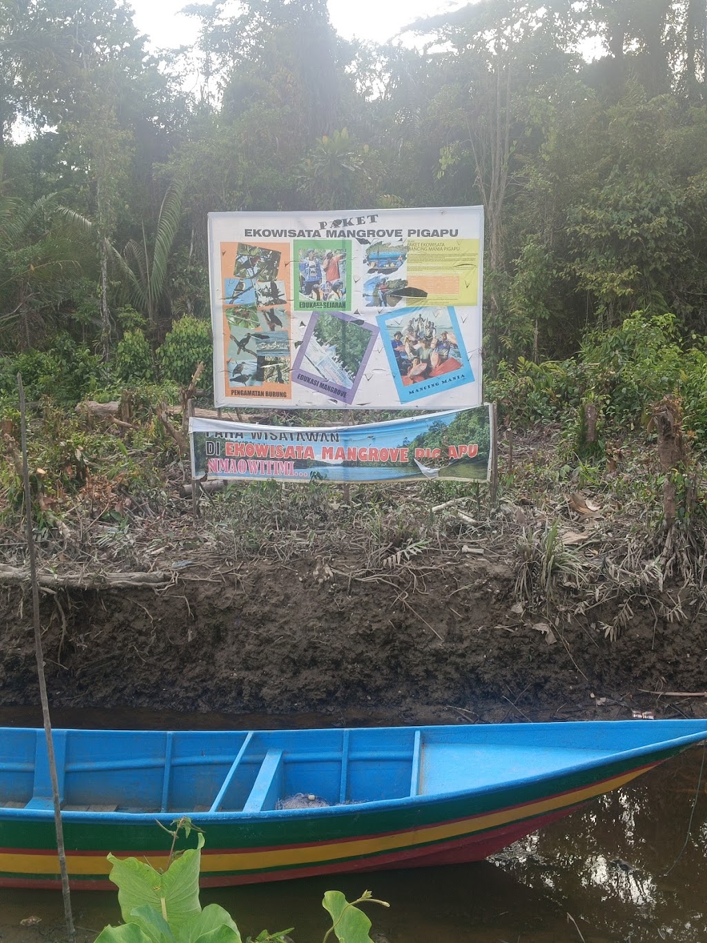 Ekowisata Mangrove Pigapu: Surga Tersembunyi di Papua