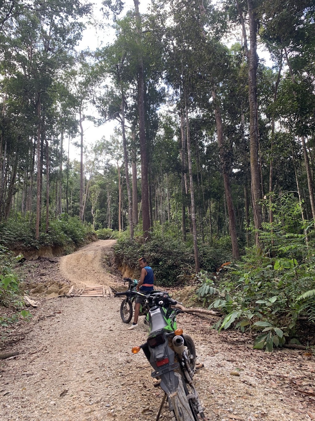 Air Terjun Batu Tilam: Pesona Tersembunyi di Kabupaten Kampar, Riau