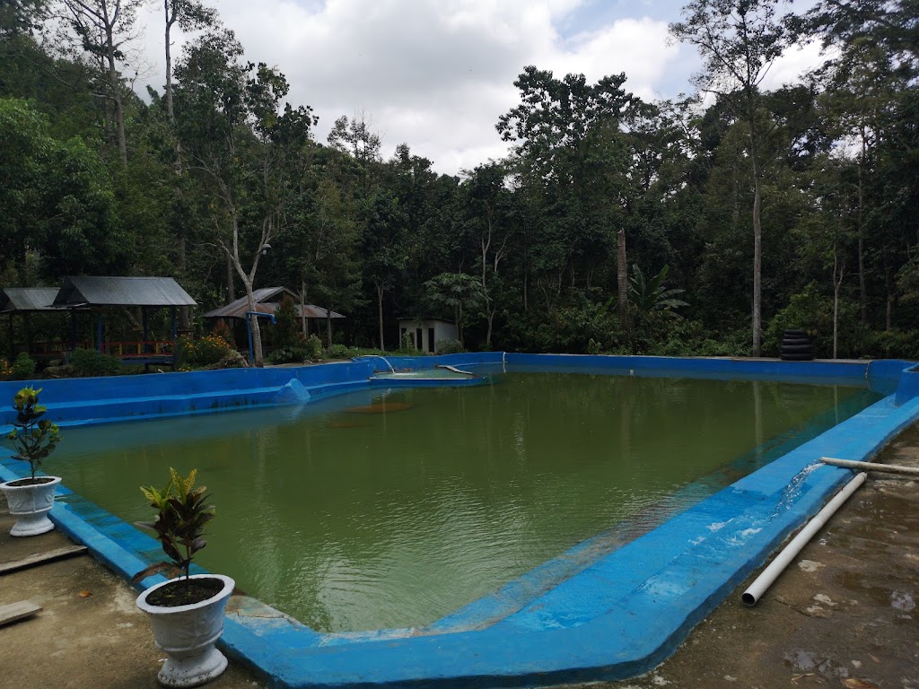 Pesona Rawa Bangun, Polewali Mandar: Surga Tersembunyi di Sulawesi Barat